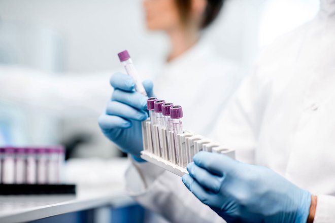 laboratory01.jpg